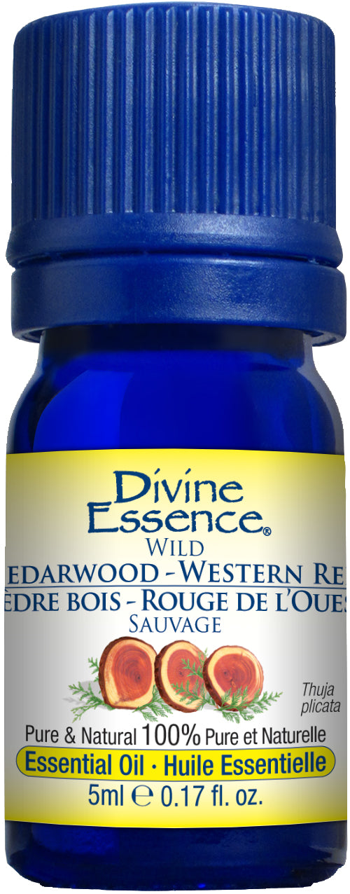 Divine Essence - Cedarwood - Western Red (Wild)