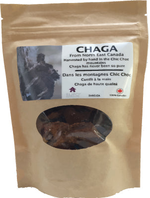 SURO - Organic Canadian Chaga Chunks