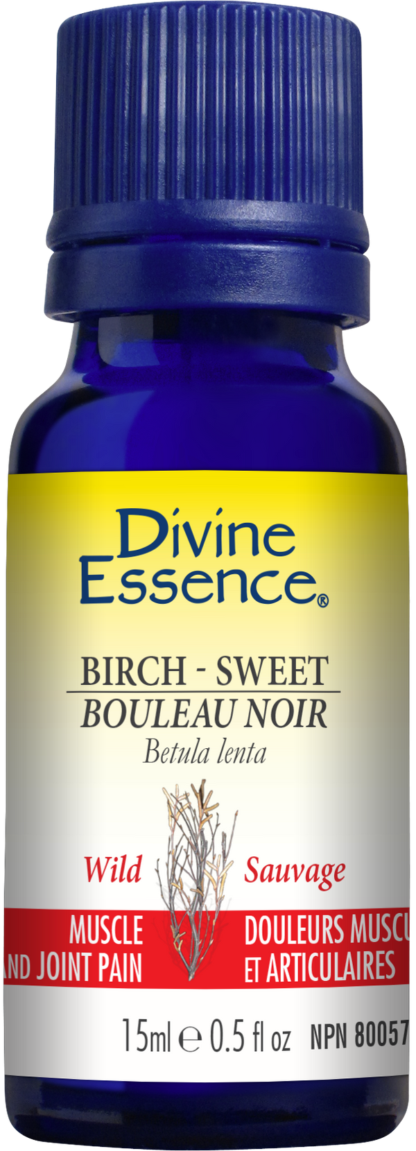 Divine Essence - Birch - Sweet (Organic)