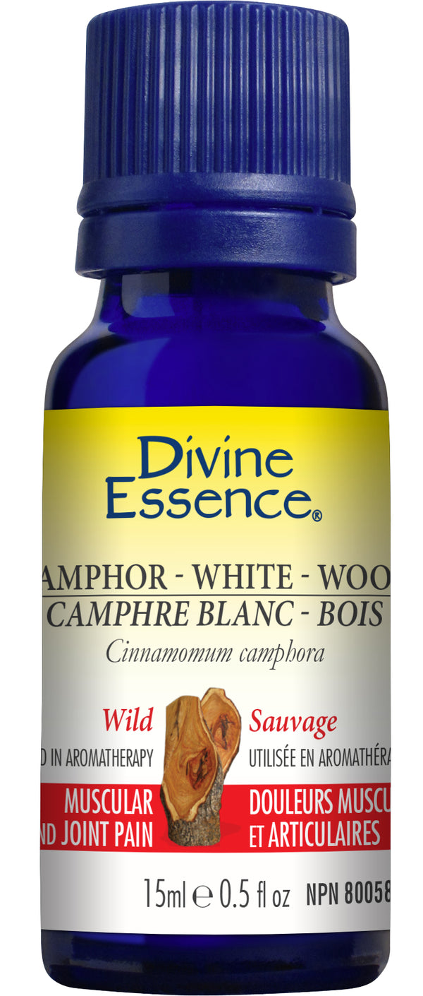 Divine Essence - Camphor - White Wood (Wild)