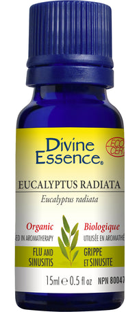 Divine Essence - Eucalyptus Radiata (Organic) - 15 ml