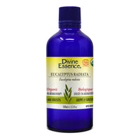 Divine Essence - Eucalyptus Radiata (Organic) - 100 ml