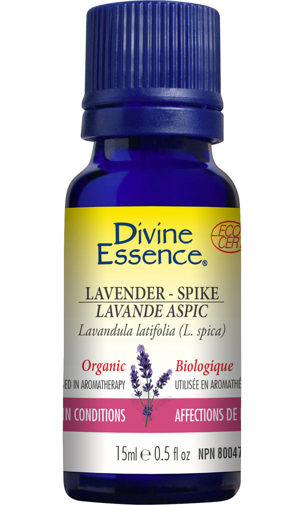 Divine Essence - Lavender - Spike (Organic) - 15 ml