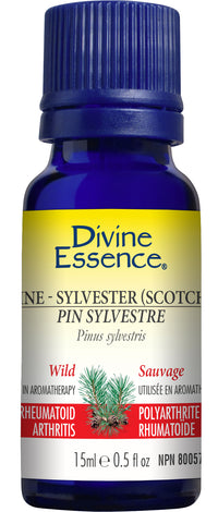 Divine Essence - Pine Sylvestre (Scotch) (Wild)