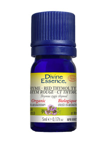 Divine Essence - Thyme Red - Thymol (Organic)