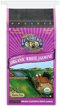 Lundberg - Jasmine, White, 25 lb