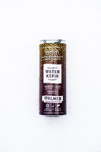 Squamish Water Kefir - The Palmer Sparkling Probiotic Soda Lemonade Iced Tea