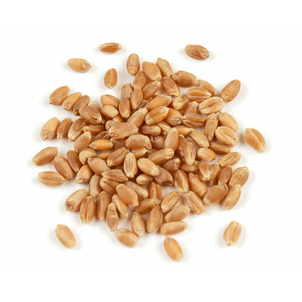 Anita's Organic - Wheat Kernels, Hard Red, Organic