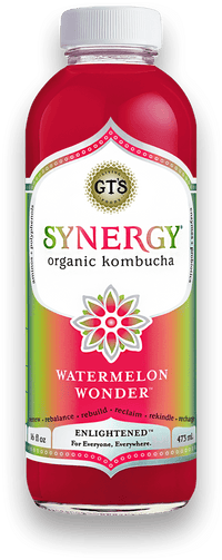 GT's Kombucha - Kombucha, Watermelon Wonder